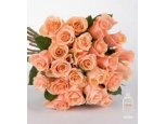 Expression - 24 Stems In Bouquet